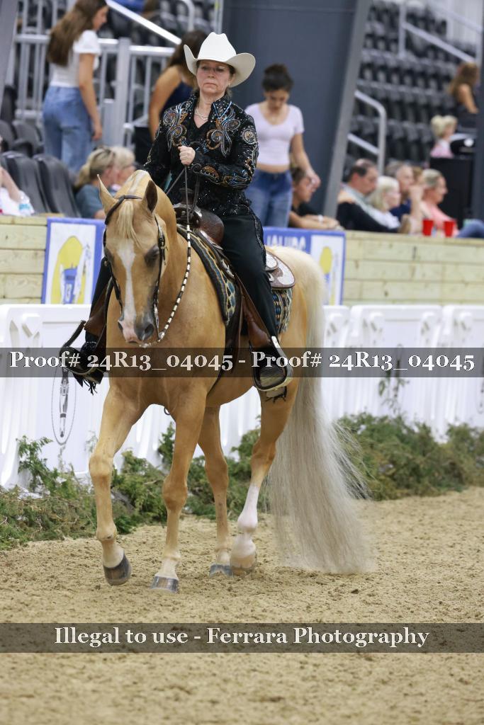 Proof 24R13_04045
