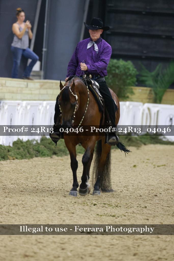 Proof 24R13_04046