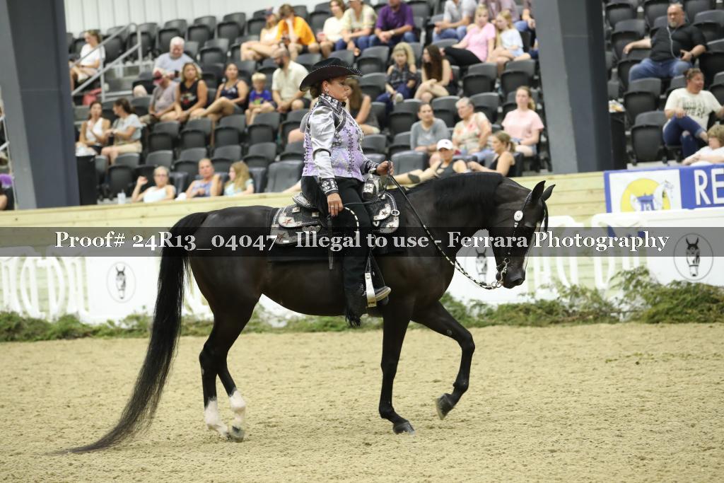 Proof 24R13_04047