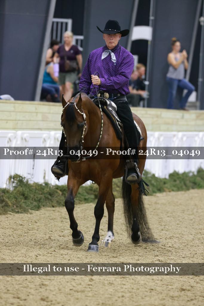 Proof 24R13_04049