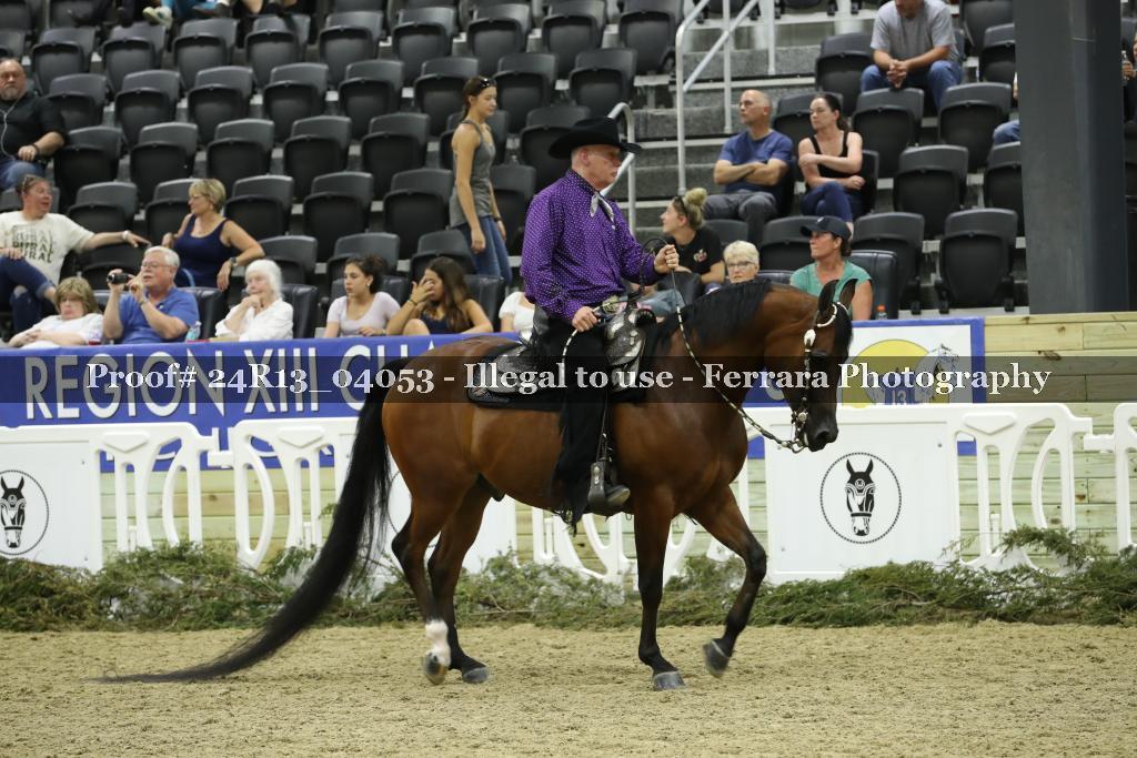Proof 24R13_04053