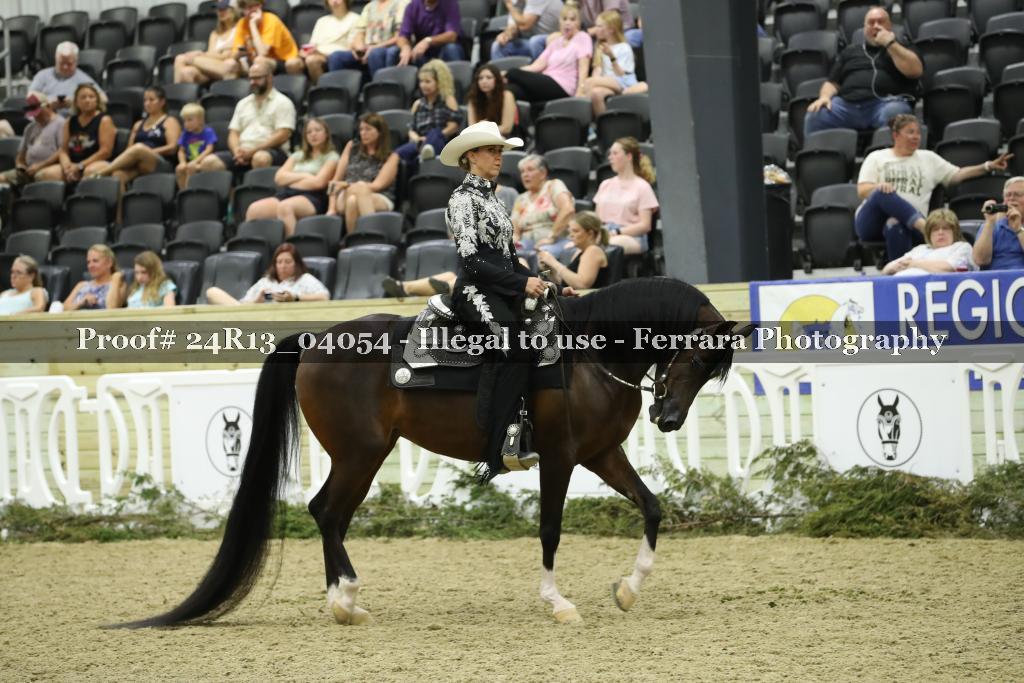 Proof 24R13_04054