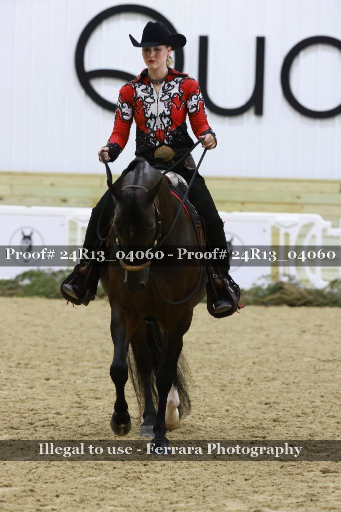 Proof 24R13_04060