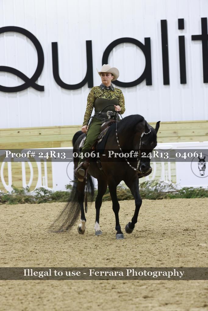 Proof 24R13_04061