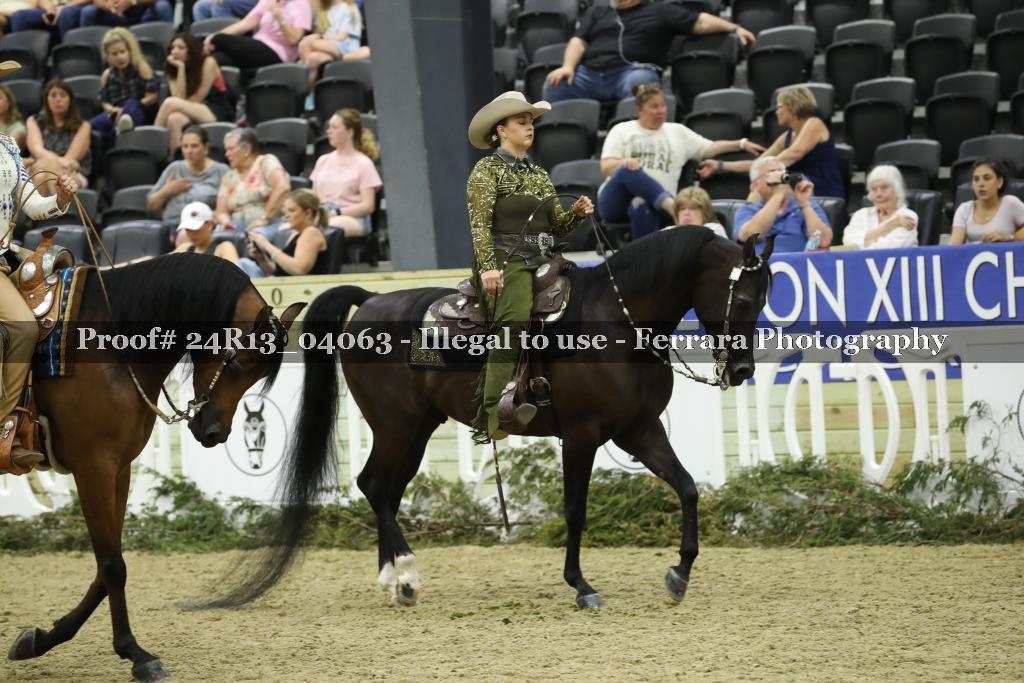 Proof 24R13_04063