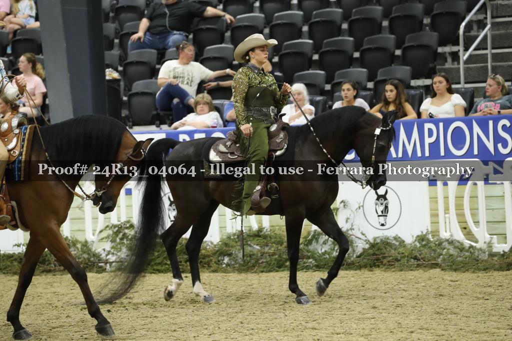 Proof 24R13_04064