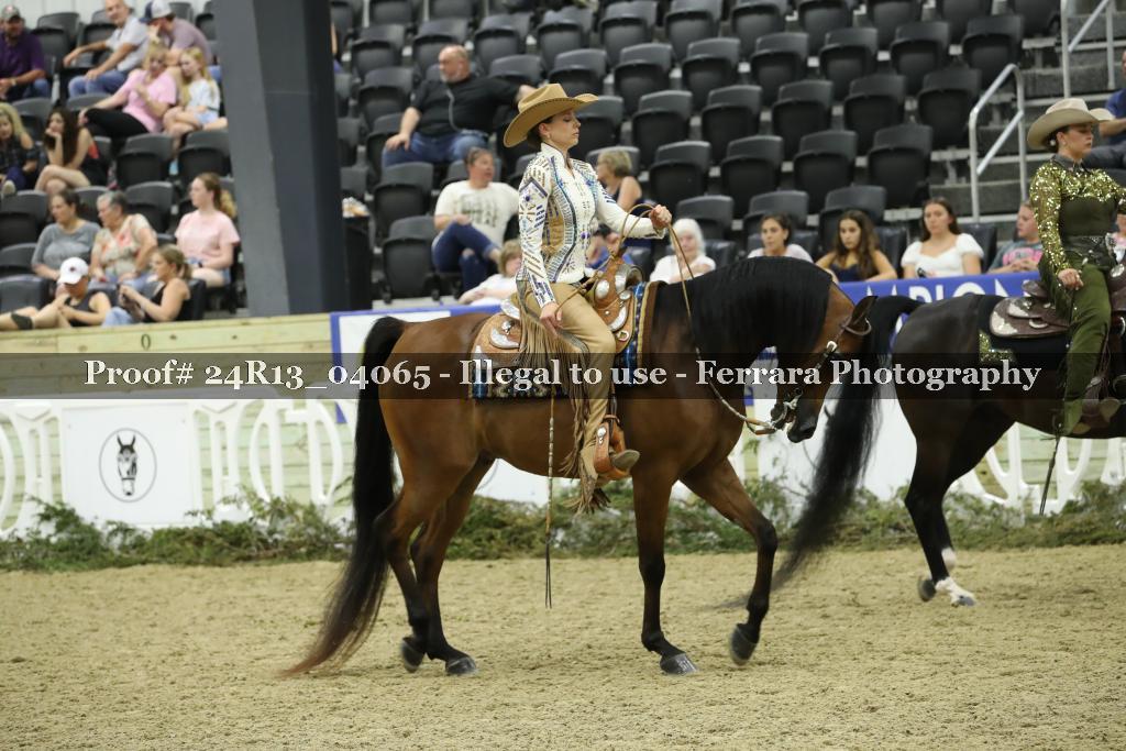 Proof 24R13_04065