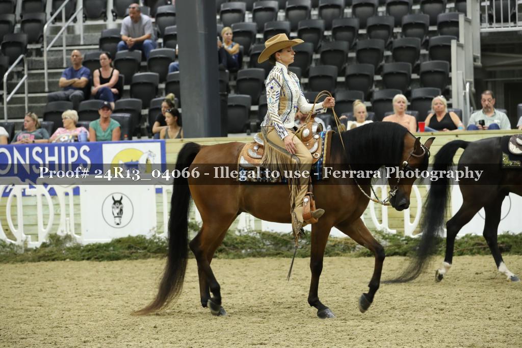 Proof 24R13_04066