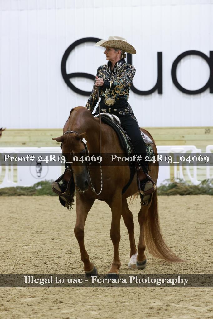 Proof 24R13_04069