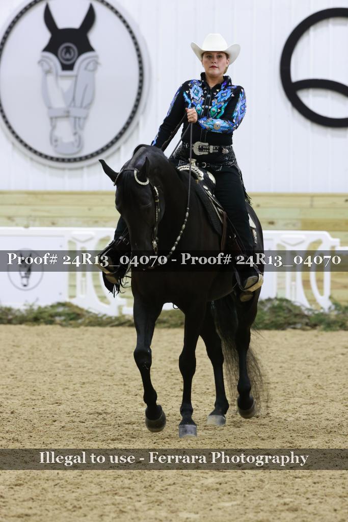 Proof 24R13_04070