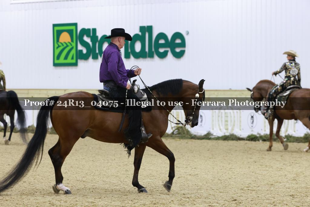 Proof 24R13_04075