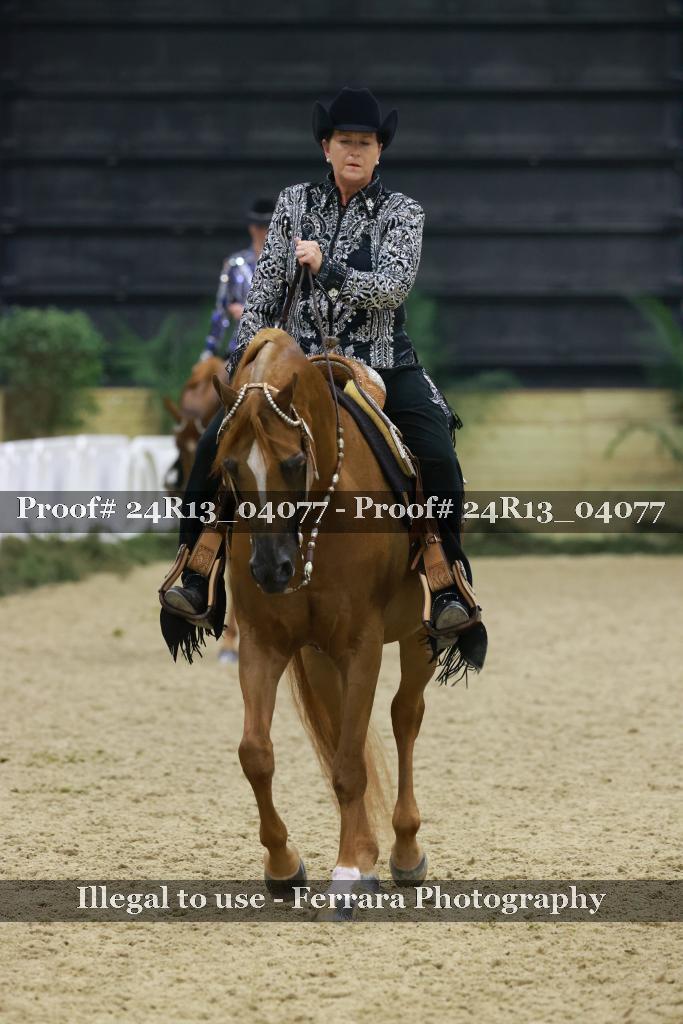 Proof 24R13_04077