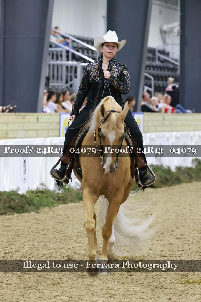 Proof 24R13_04079