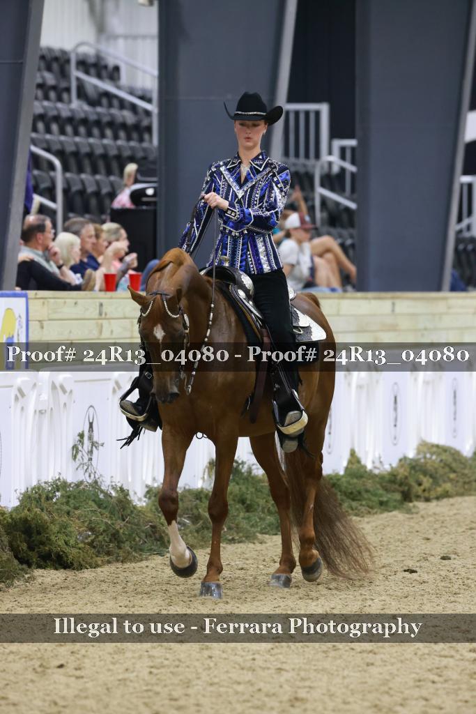 Proof 24R13_04080