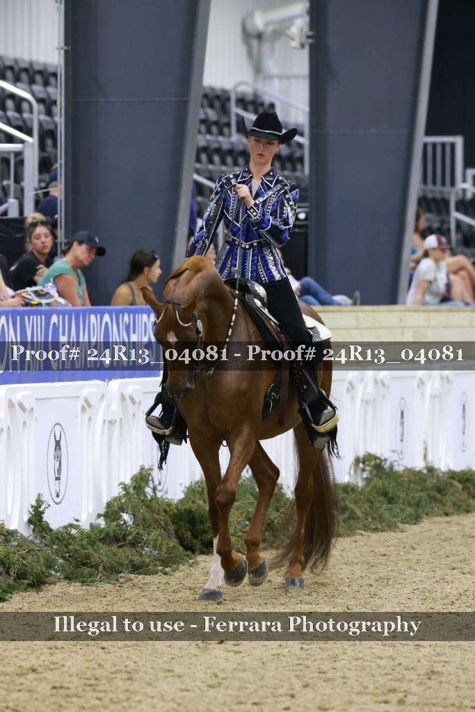 Proof 24R13_04081