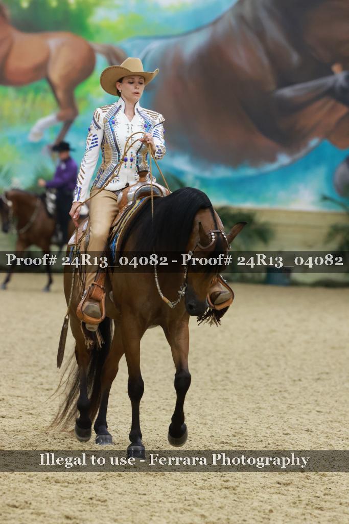 Proof 24R13_04082