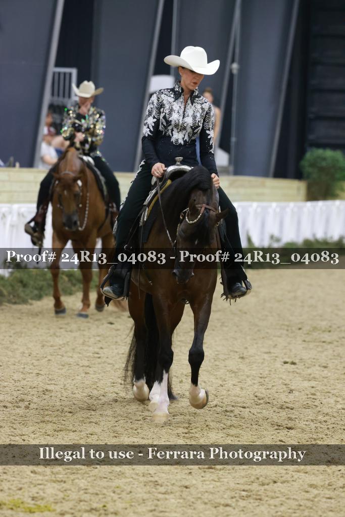 Proof 24R13_04083