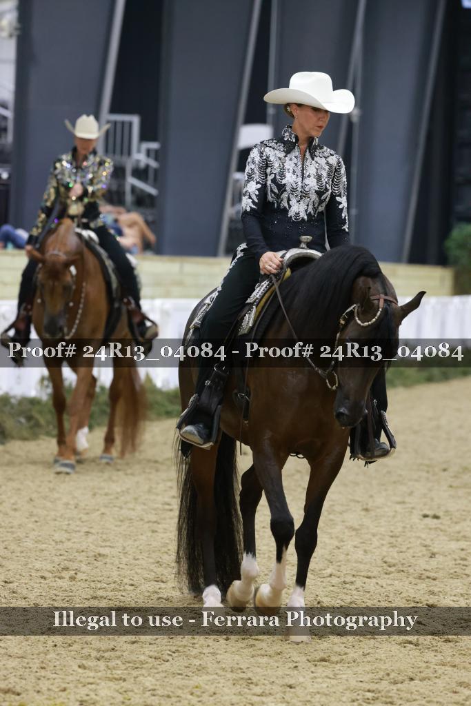 Proof 24R13_04084
