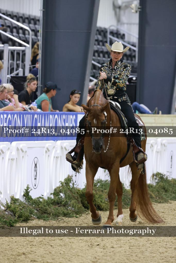 Proof 24R13_04085
