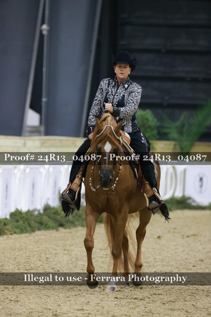 Proof 24R13_04087
