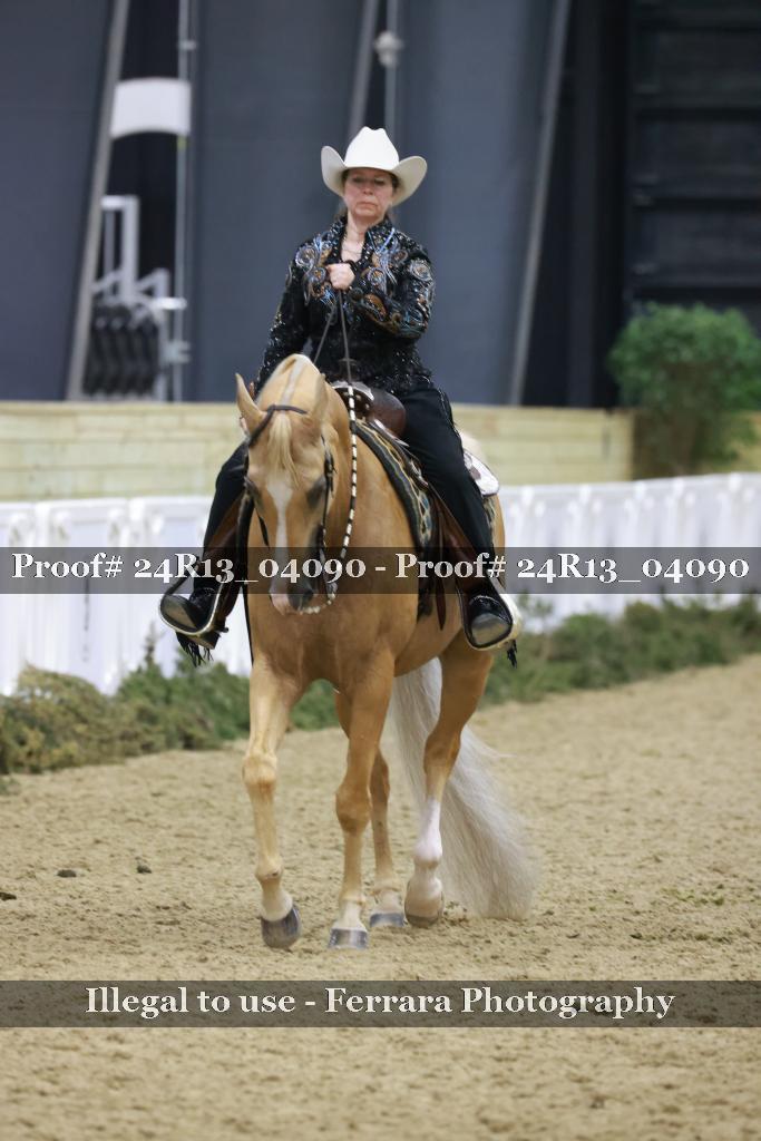 Proof 24R13_04090