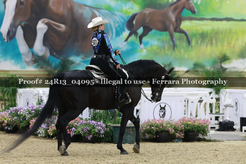 Proof 24R13_04095