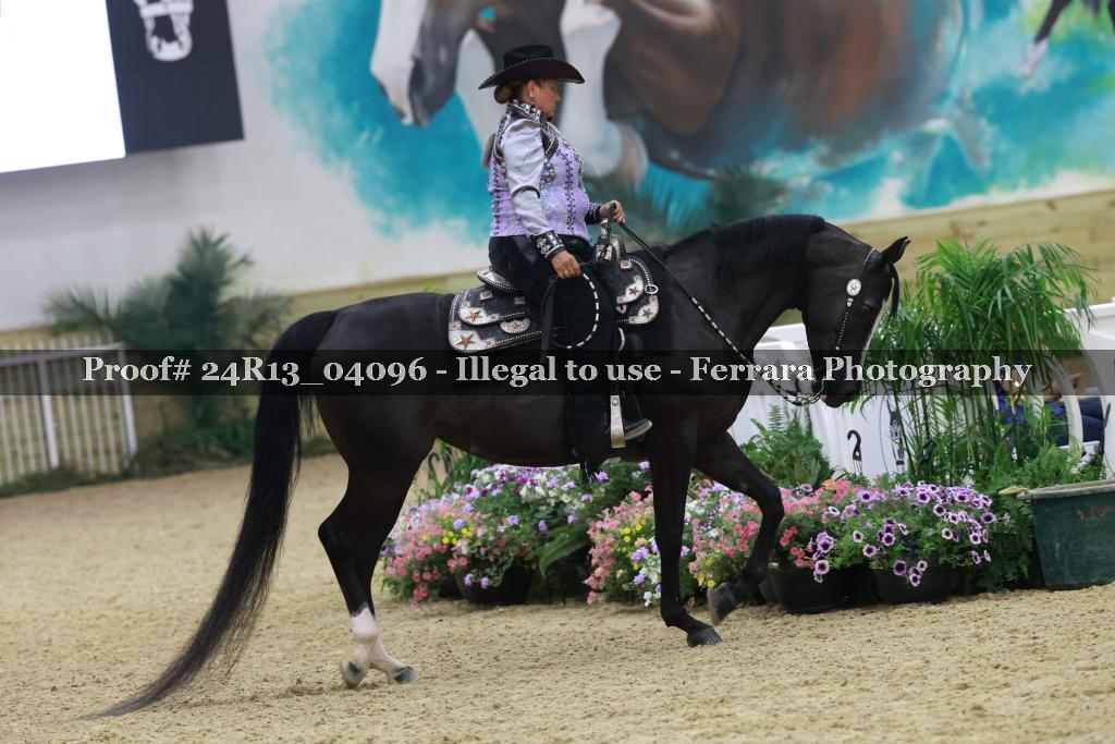 Proof 24R13_04096