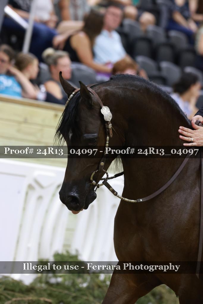 Proof 24R13_04097