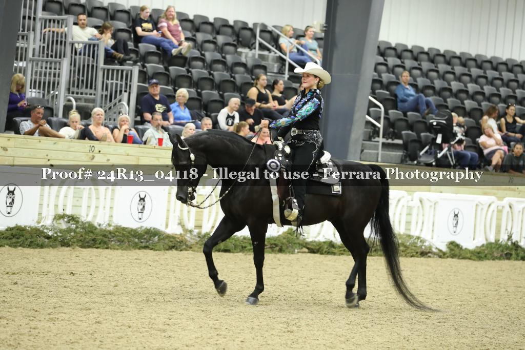 Proof 24R13_04118