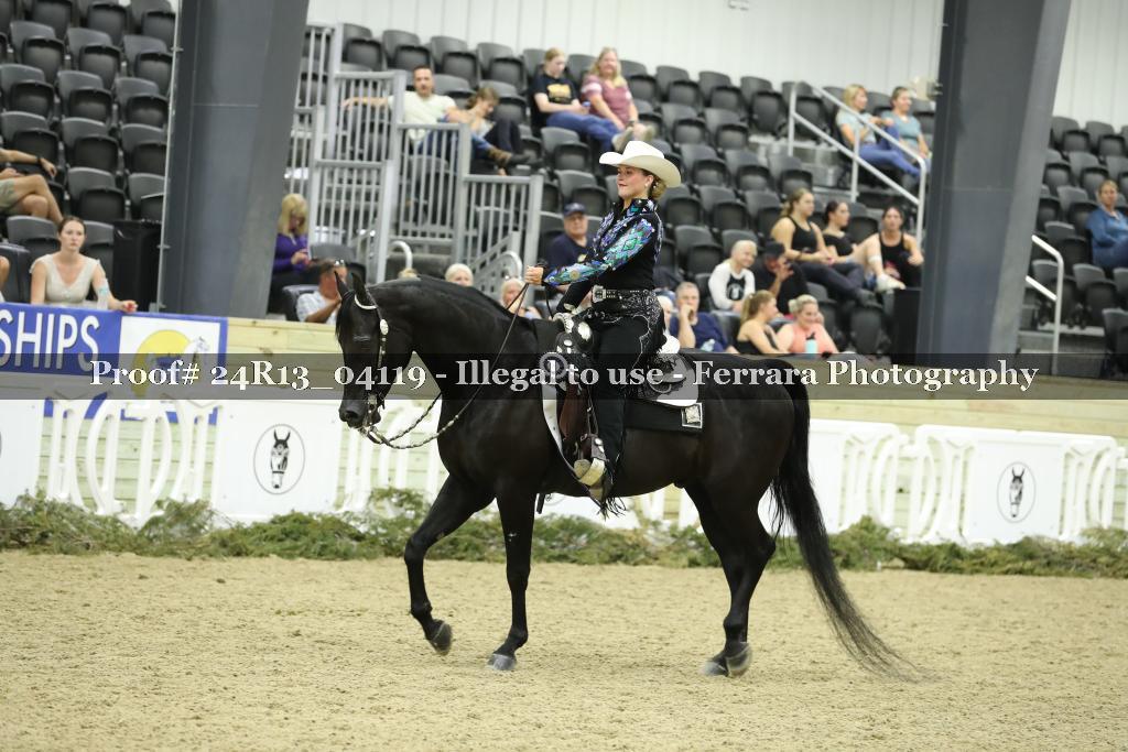 Proof 24R13_04119
