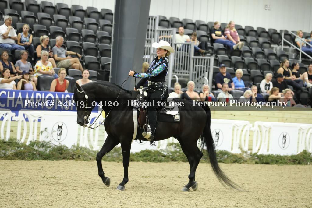 Proof 24R13_04120