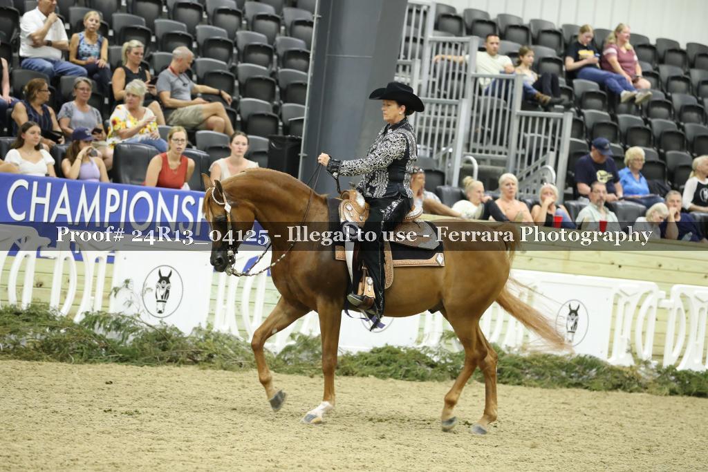 Proof 24R13_04125