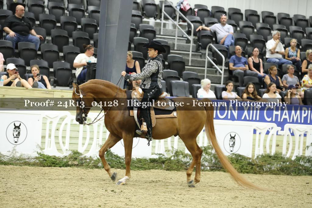 Proof 24R13_04128