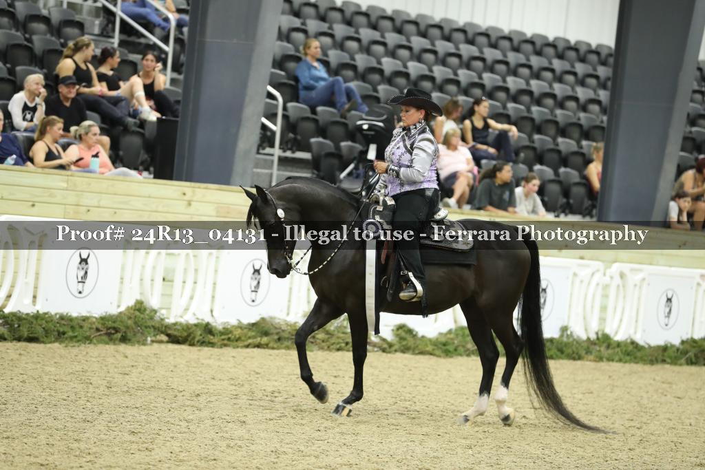 Proof 24R13_04131
