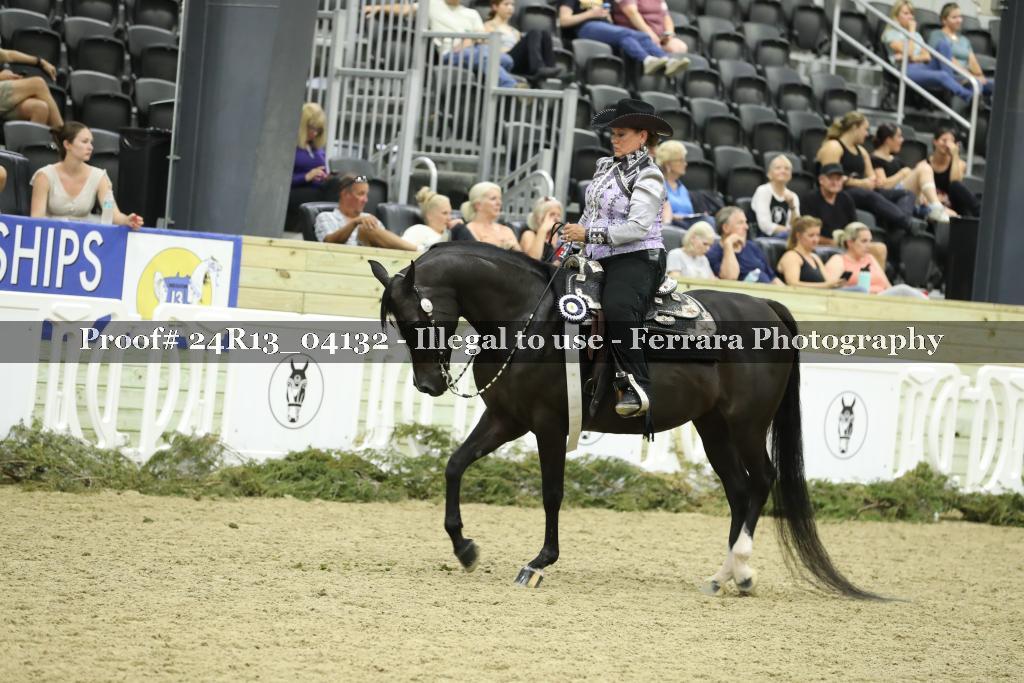 Proof 24R13_04132