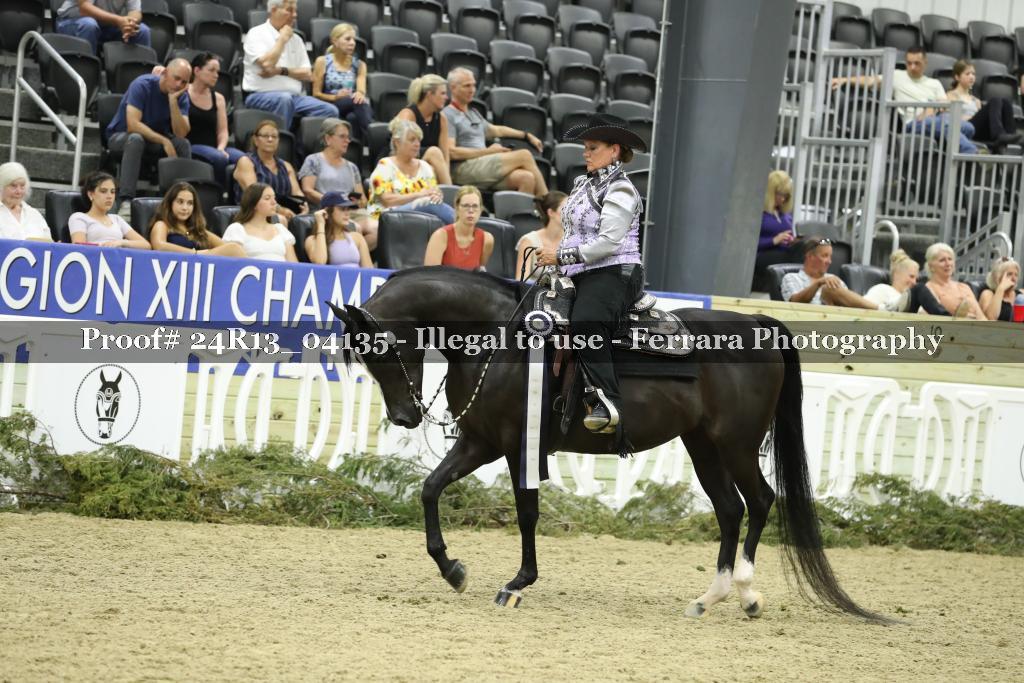 Proof 24R13_04135