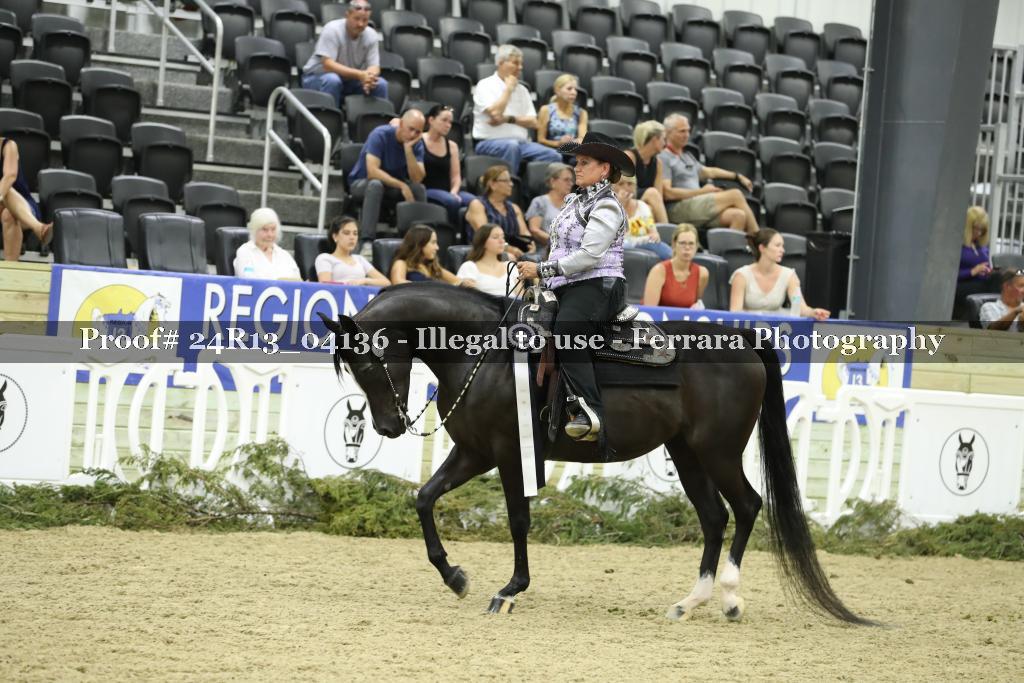 Proof 24R13_04136