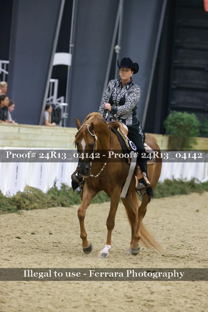 Proof 24R13_04142