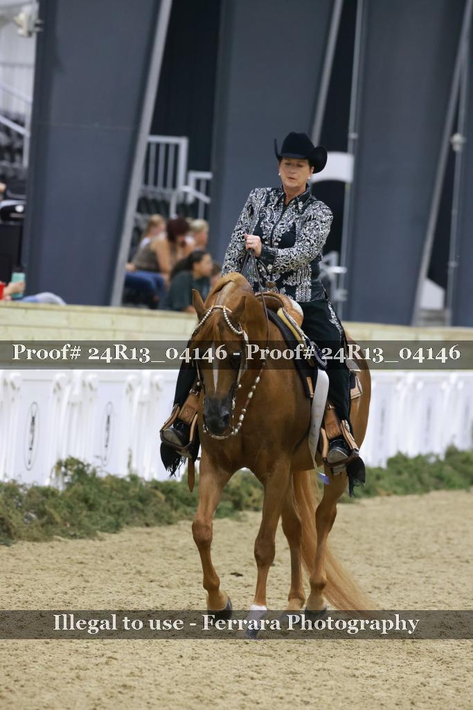 Proof 24R13_04146