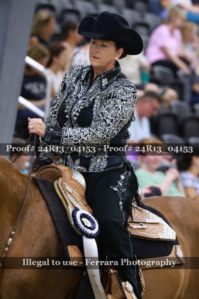 Proof 24R13_04153