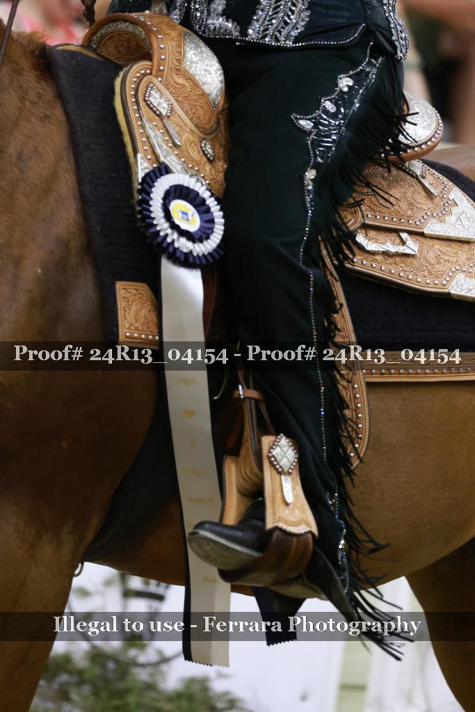 Proof 24R13_04154