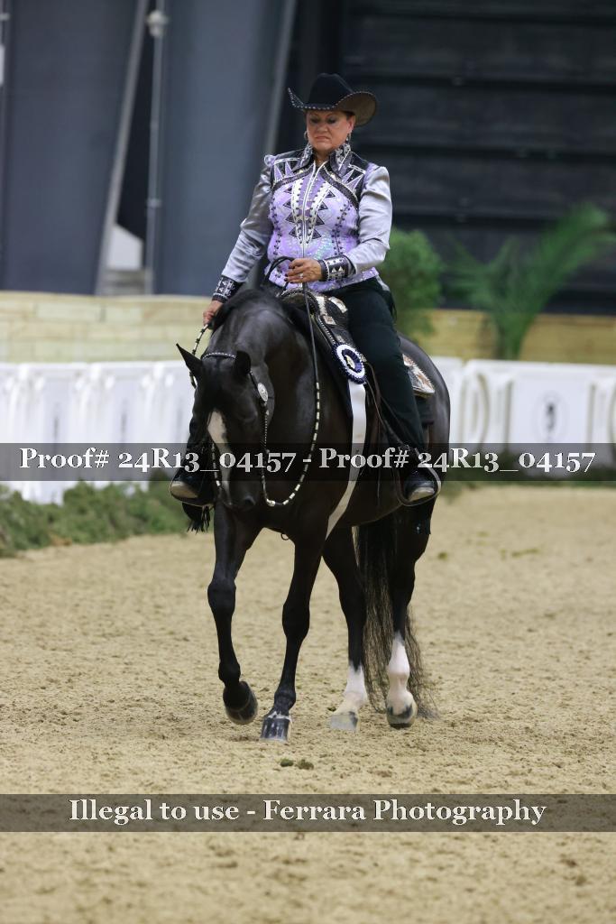 Proof 24R13_04157