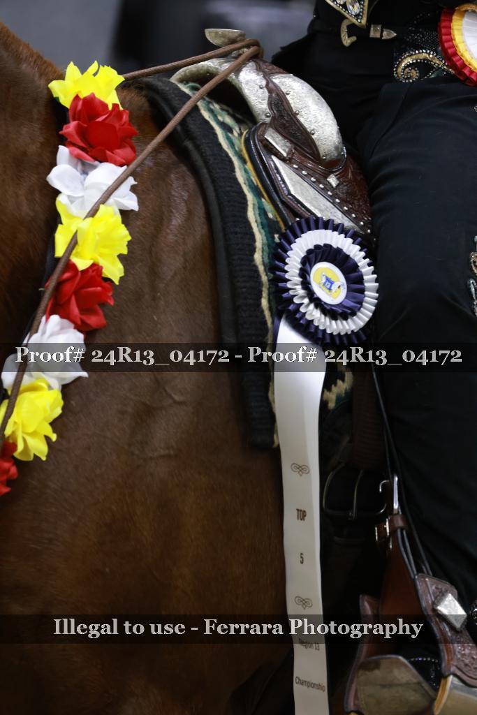Proof 24R13_04172