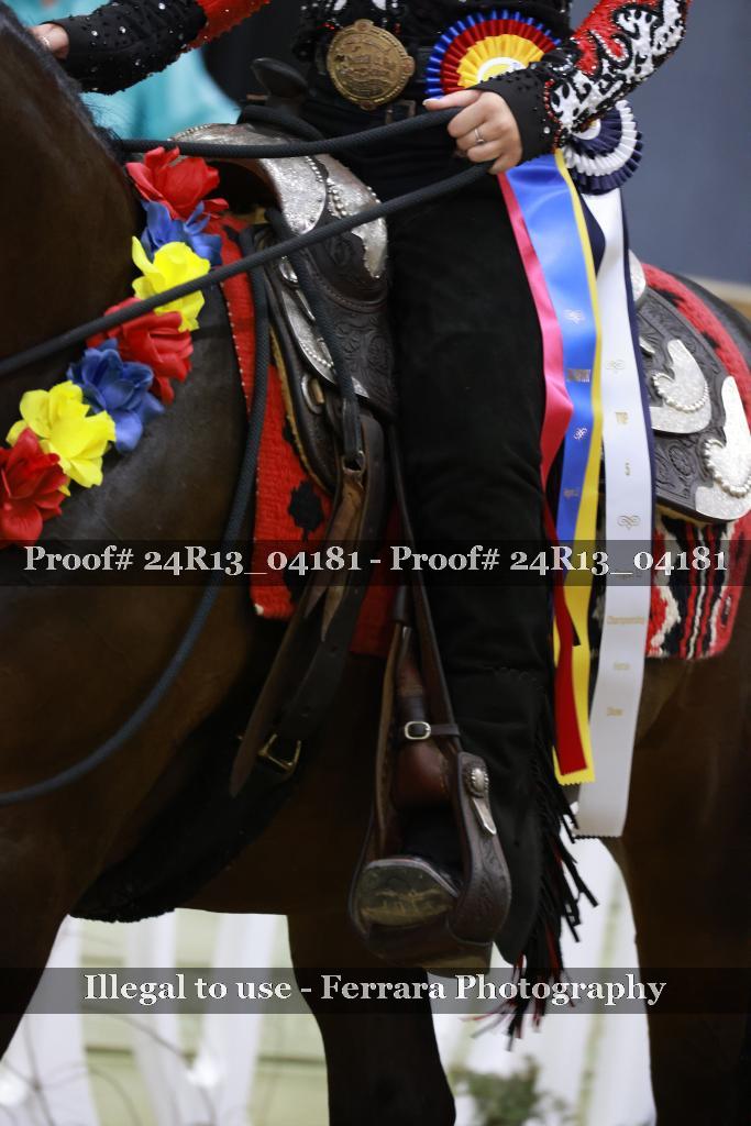 Proof 24R13_04181
