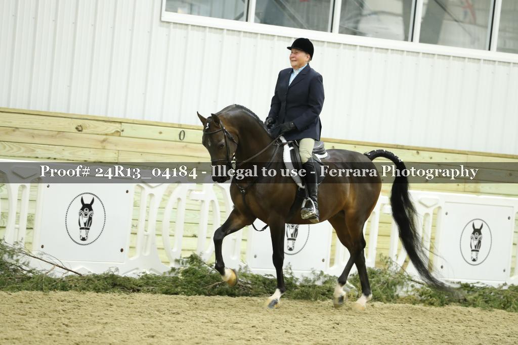 Proof 24R13_04184