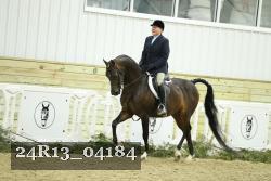 24R13_04184 proof