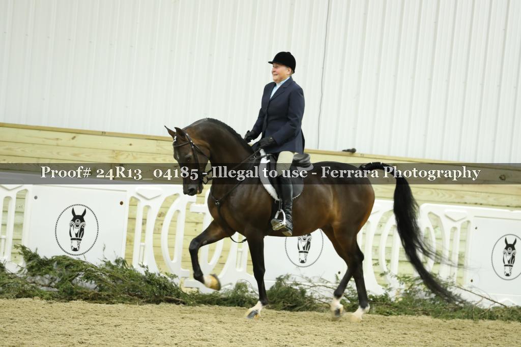Proof 24R13_04185