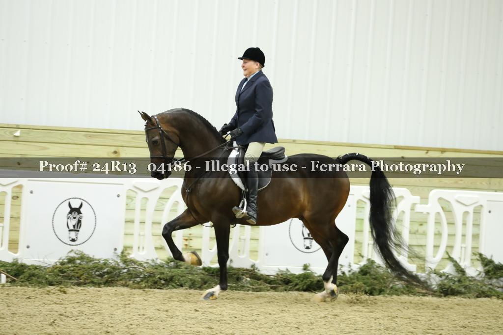 Proof 24R13_04186