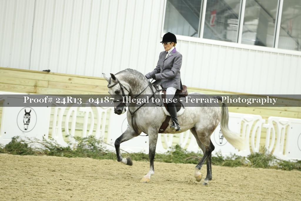 Proof 24R13_04187