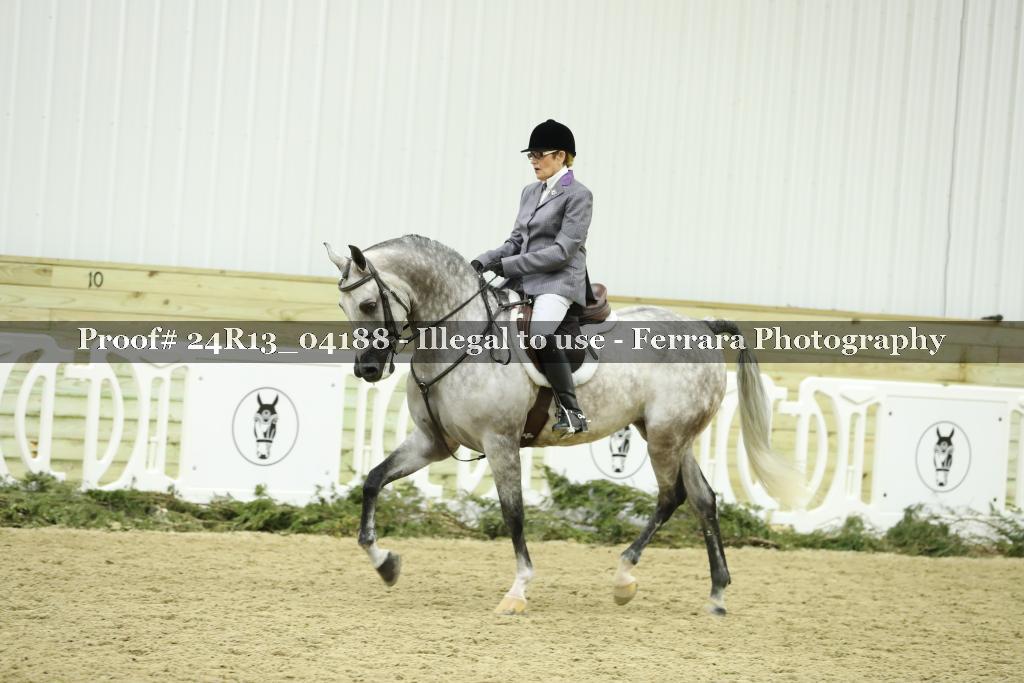 Proof 24R13_04188